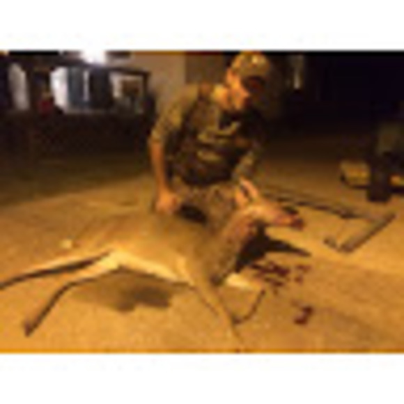 Meet your Posher, Nicholas - Picture 1 of 1